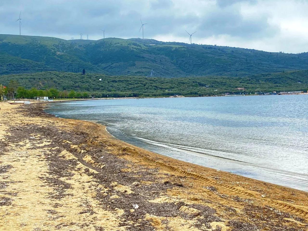 Edincik Altı Halk Plajı - 2