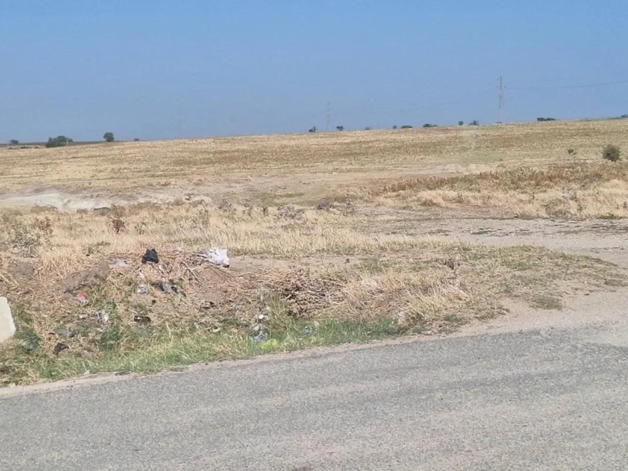 Edirne,Tekirdağ İpsala Yolu - 3