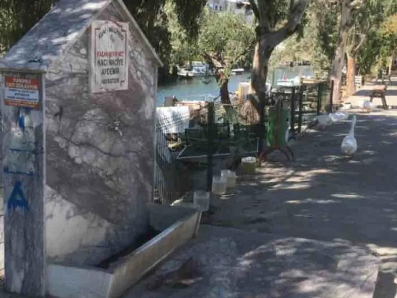 Edremit,2 Kazak Caddesi - 2