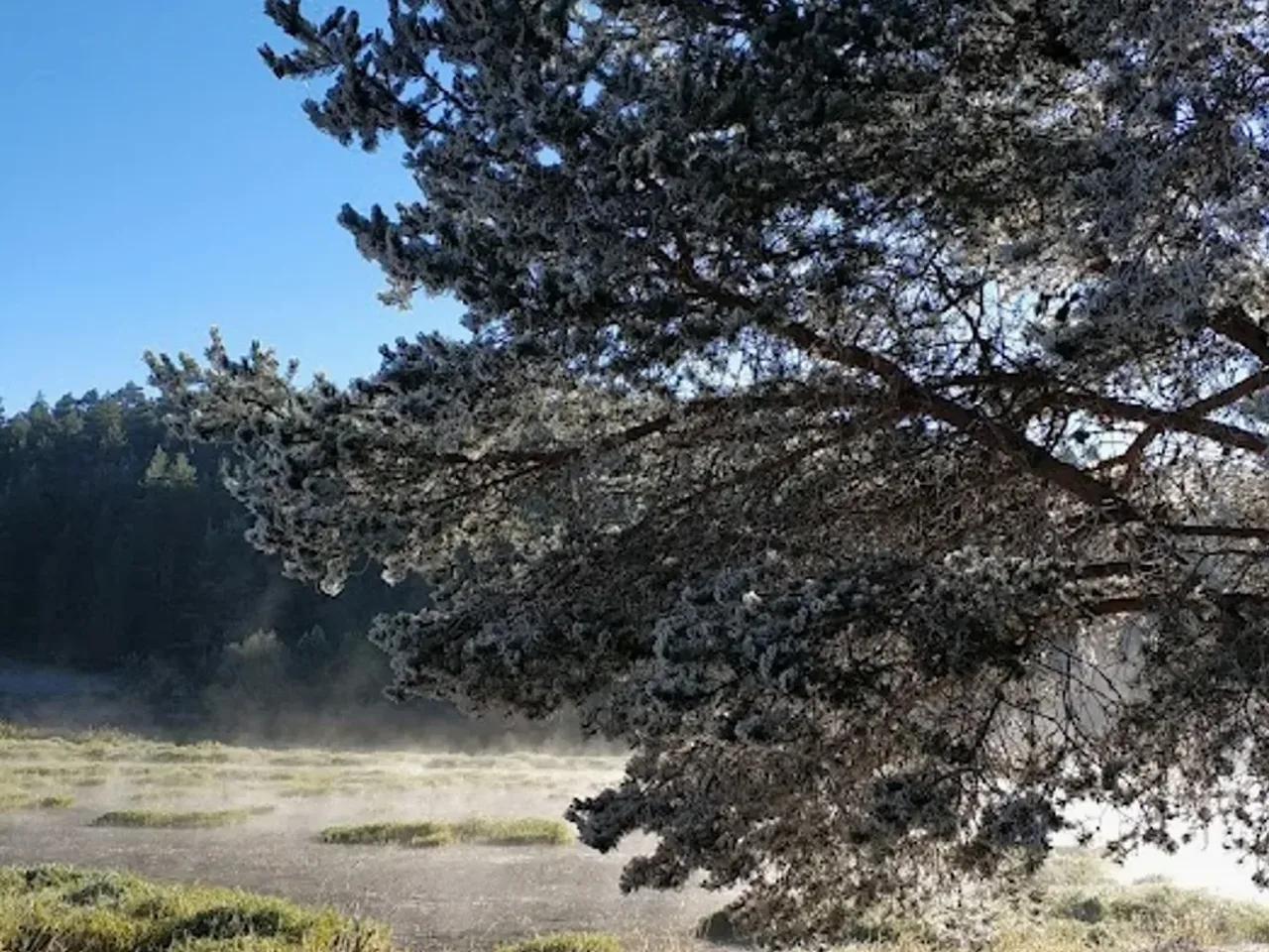Eğriova Tabiat Parkı