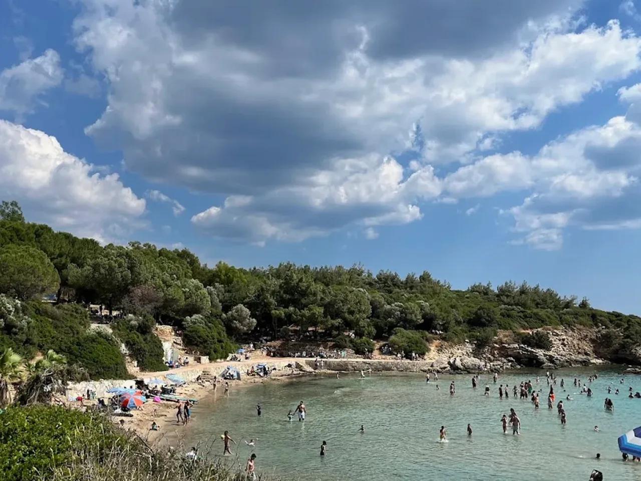 Ekmeksiz Plajı Tabiat Parkı (Ziyarete Kapalı) - 2
