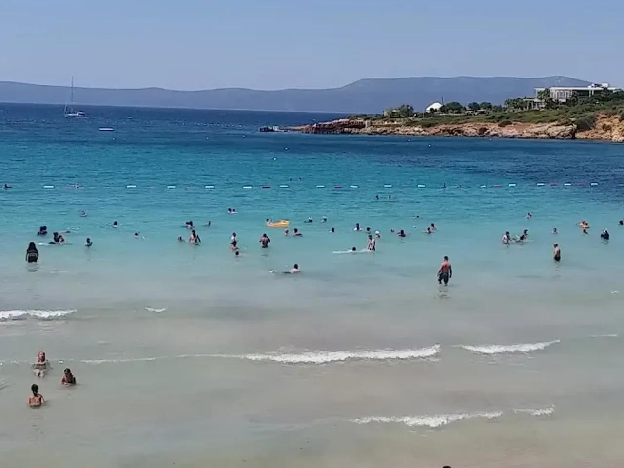 Ekmeksiz Plajı Tabiat Parkı (Ziyarete Kapalı) - 3