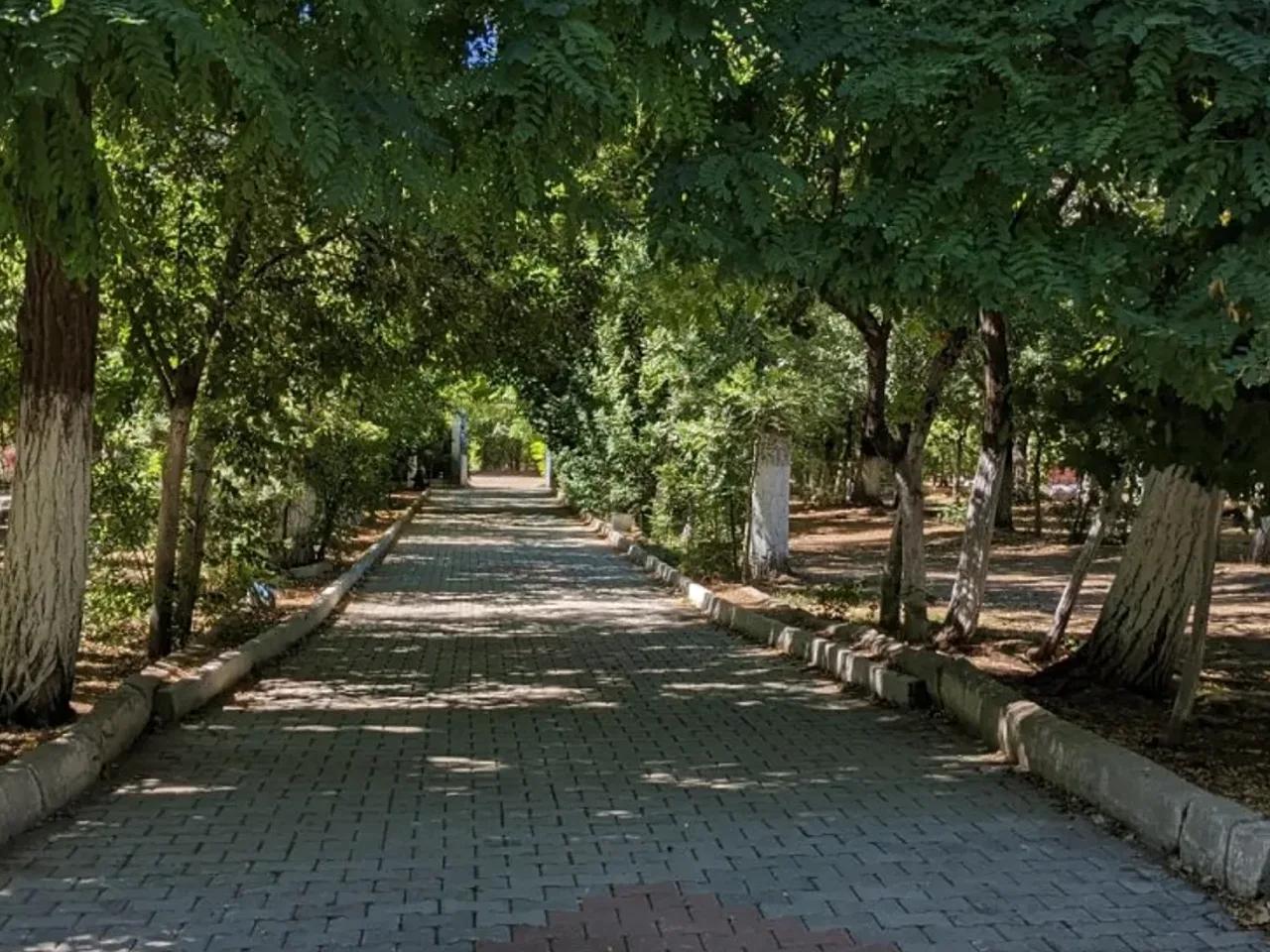 Elazığ,İsmail Ünlü Cd. - 3