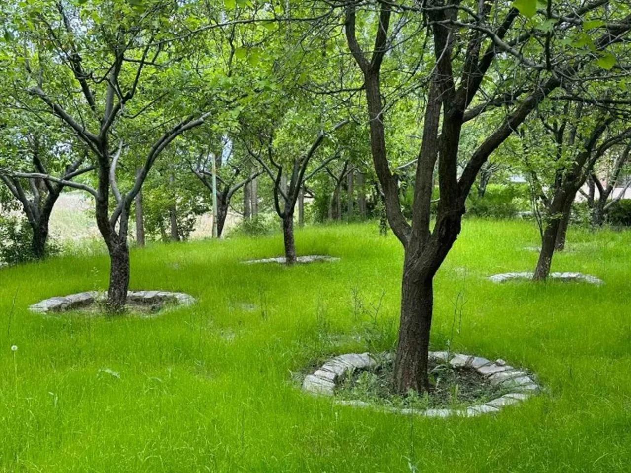 Elmaköy,Amasya - Erzurum Yolu - 2