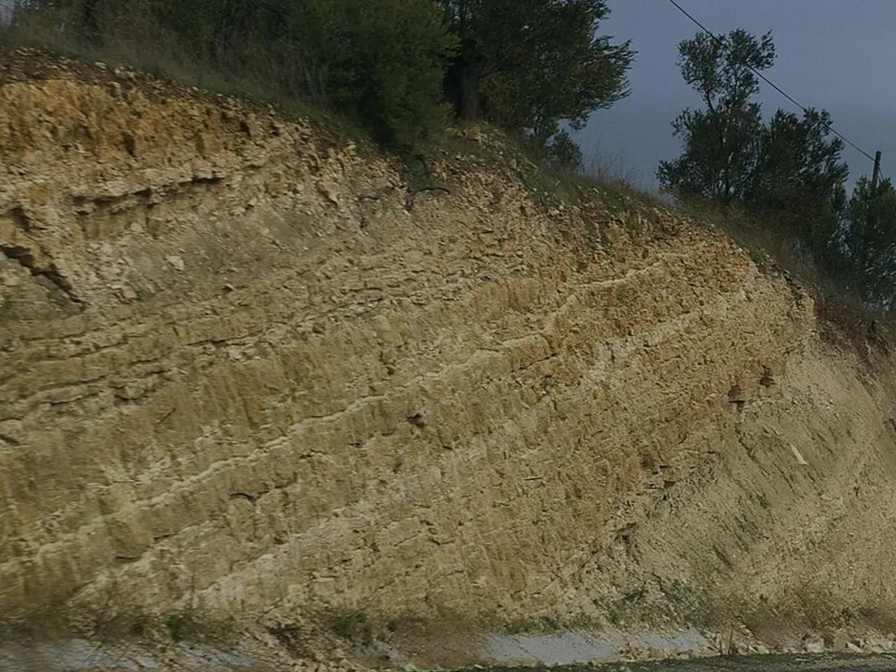 Enguru Tatil Sitesi