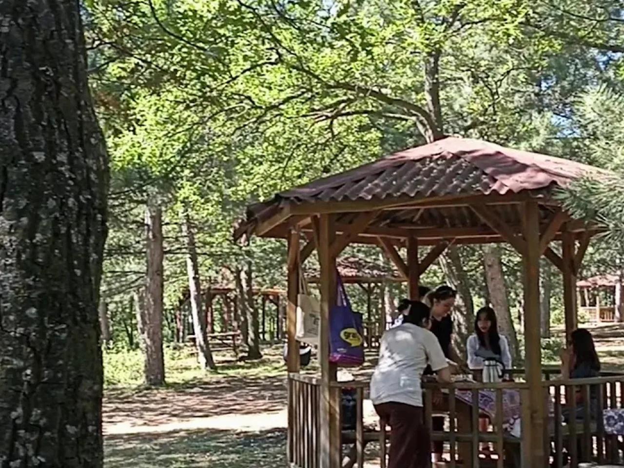 Enne Barajı  Tabiat Parkı - 3