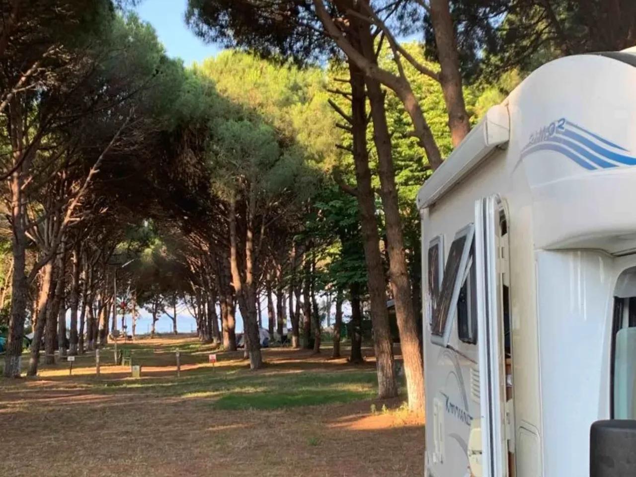 Erdek,Pınar Otel - 1