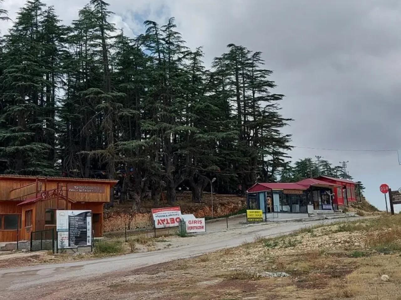 Erdemli, Aydınlar - 1