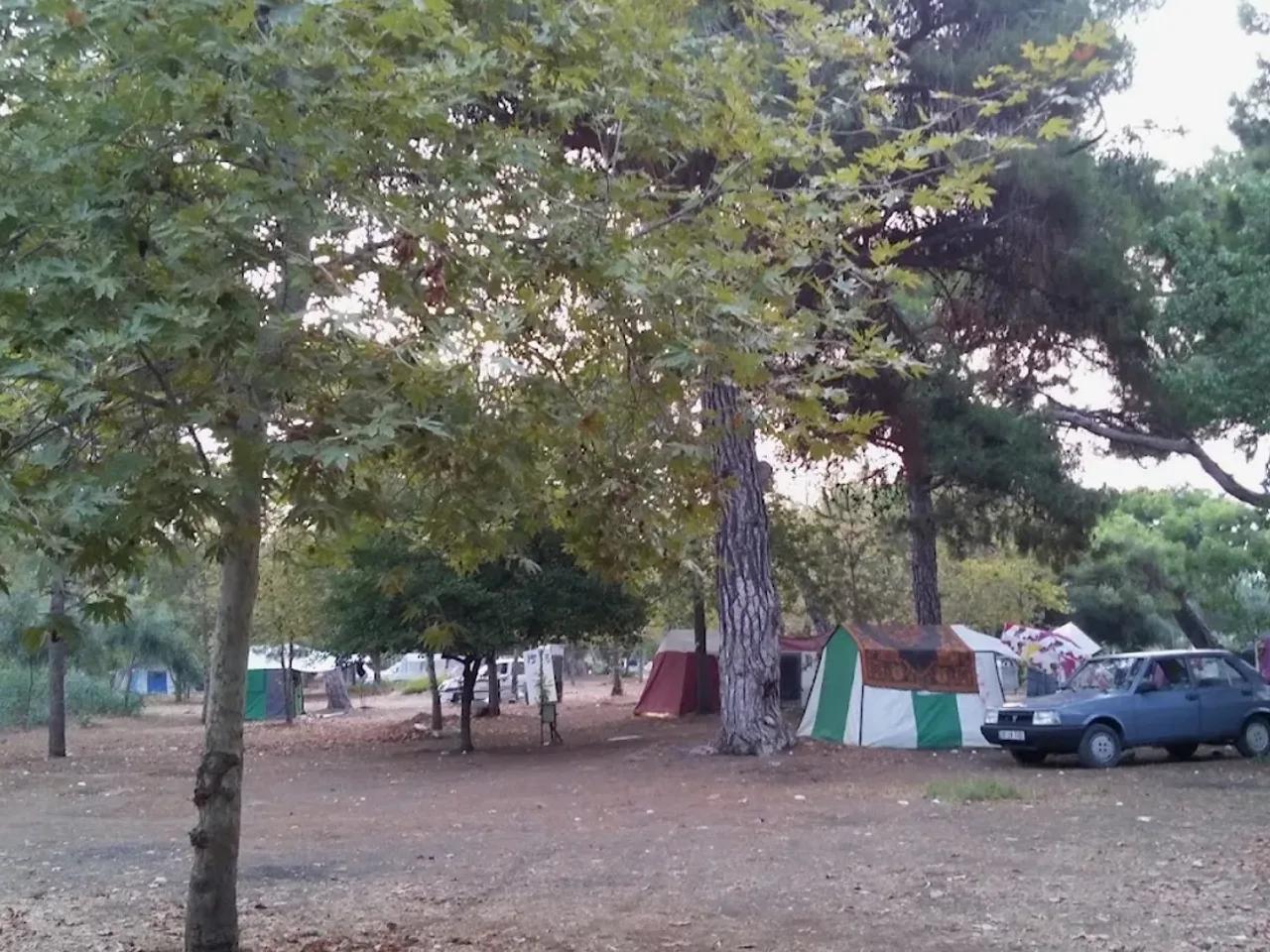 Erdemli Çamlığı (Talat Göktepe) Tabiat Parkı - 2