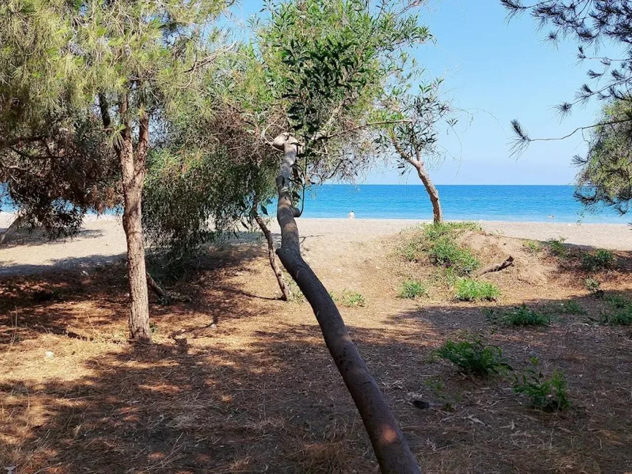 Erdemli Çamlığı (Talat Göktepe) Tabiat Parkı - 3