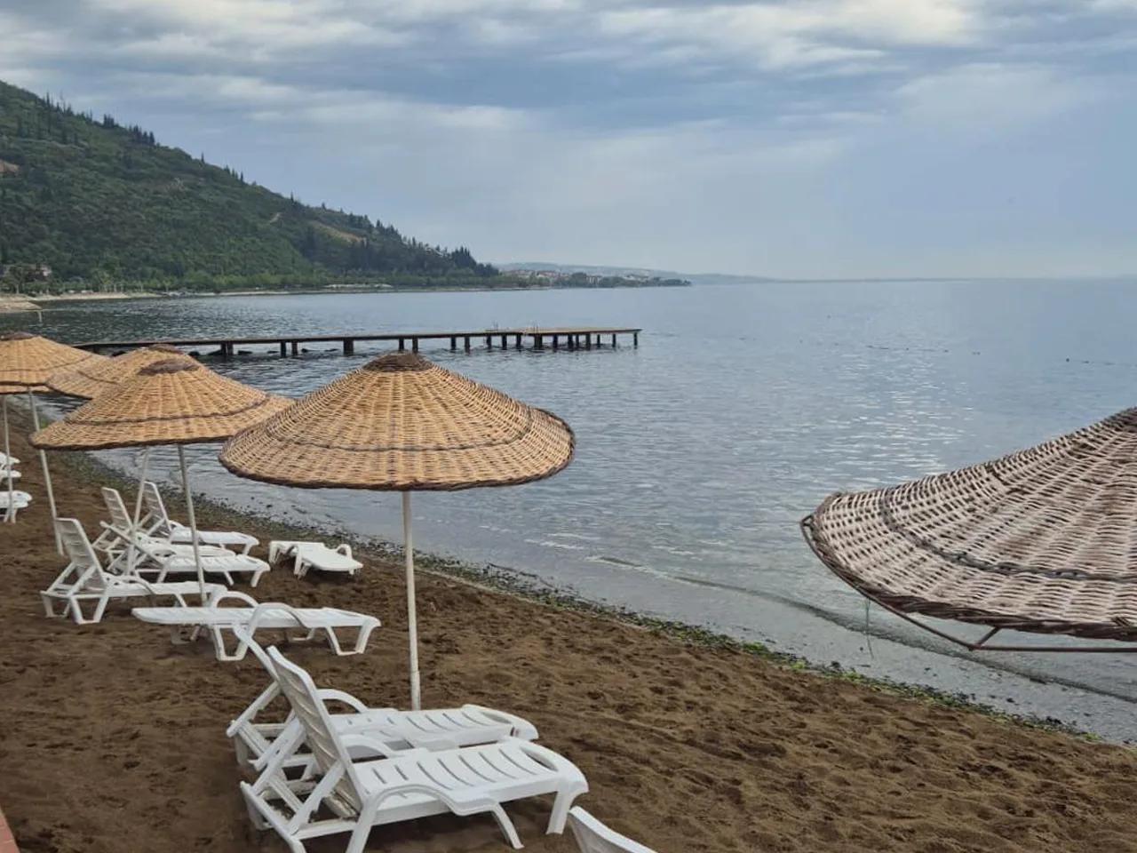 Ereğli Kumyalı Defne - 2
