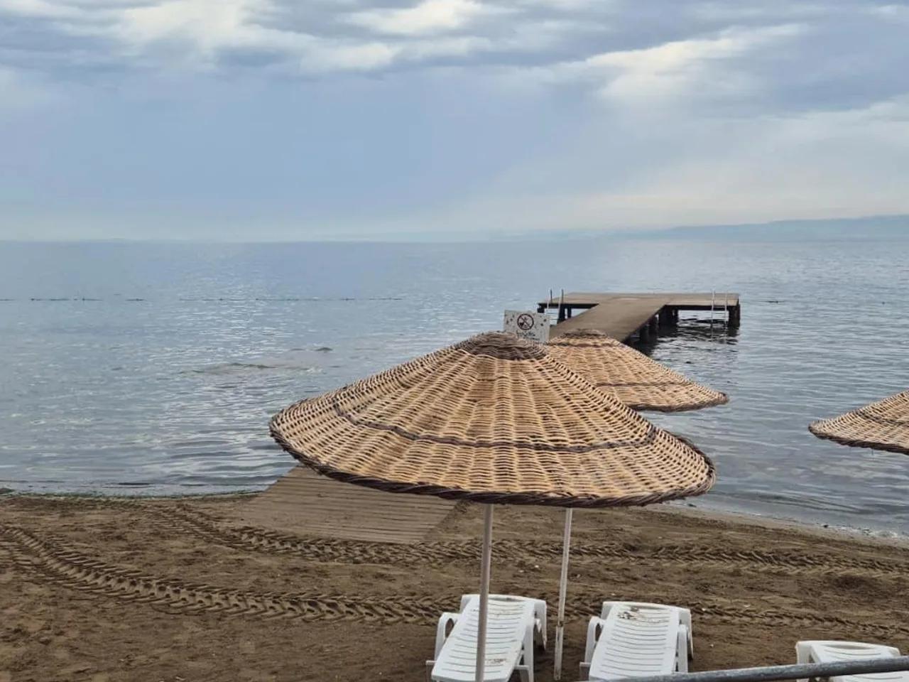 Ereğli Kumyalı Defne - 3