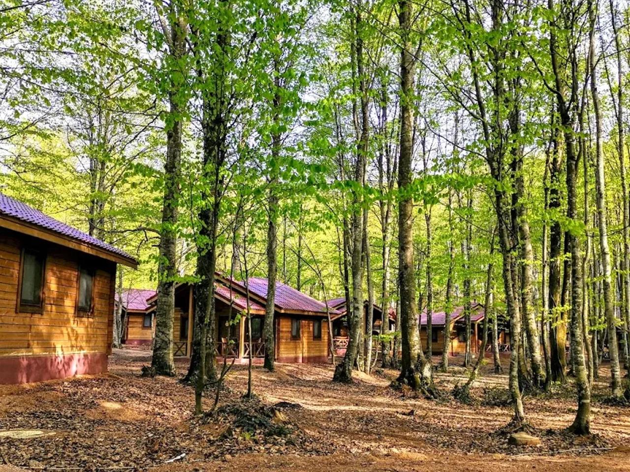 Eriklitepe Tabiat Parkı
