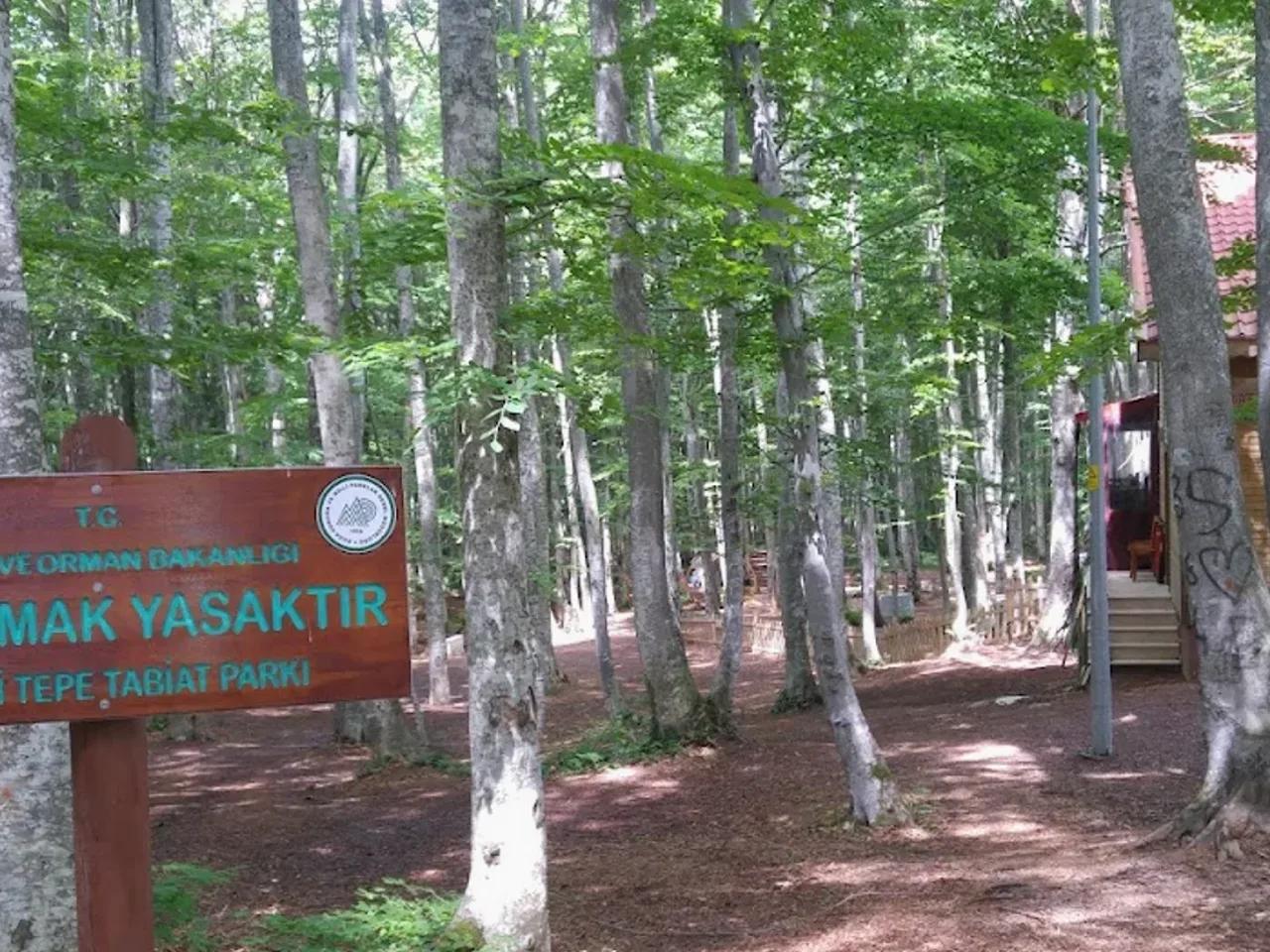Eriklitepe Tabiat Parkı - 3