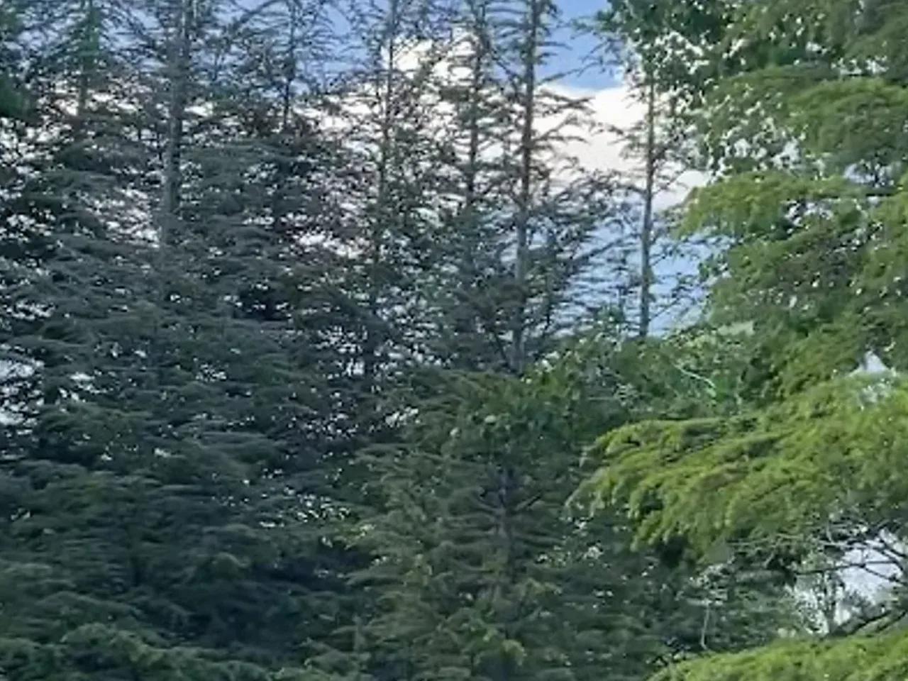 Erkmen Tabiat Parkı - 2