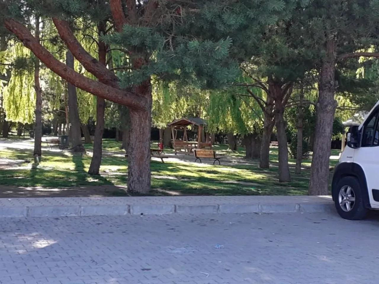 Erzincan Merkez,67 Rafet Akpınar Caddesi - 3