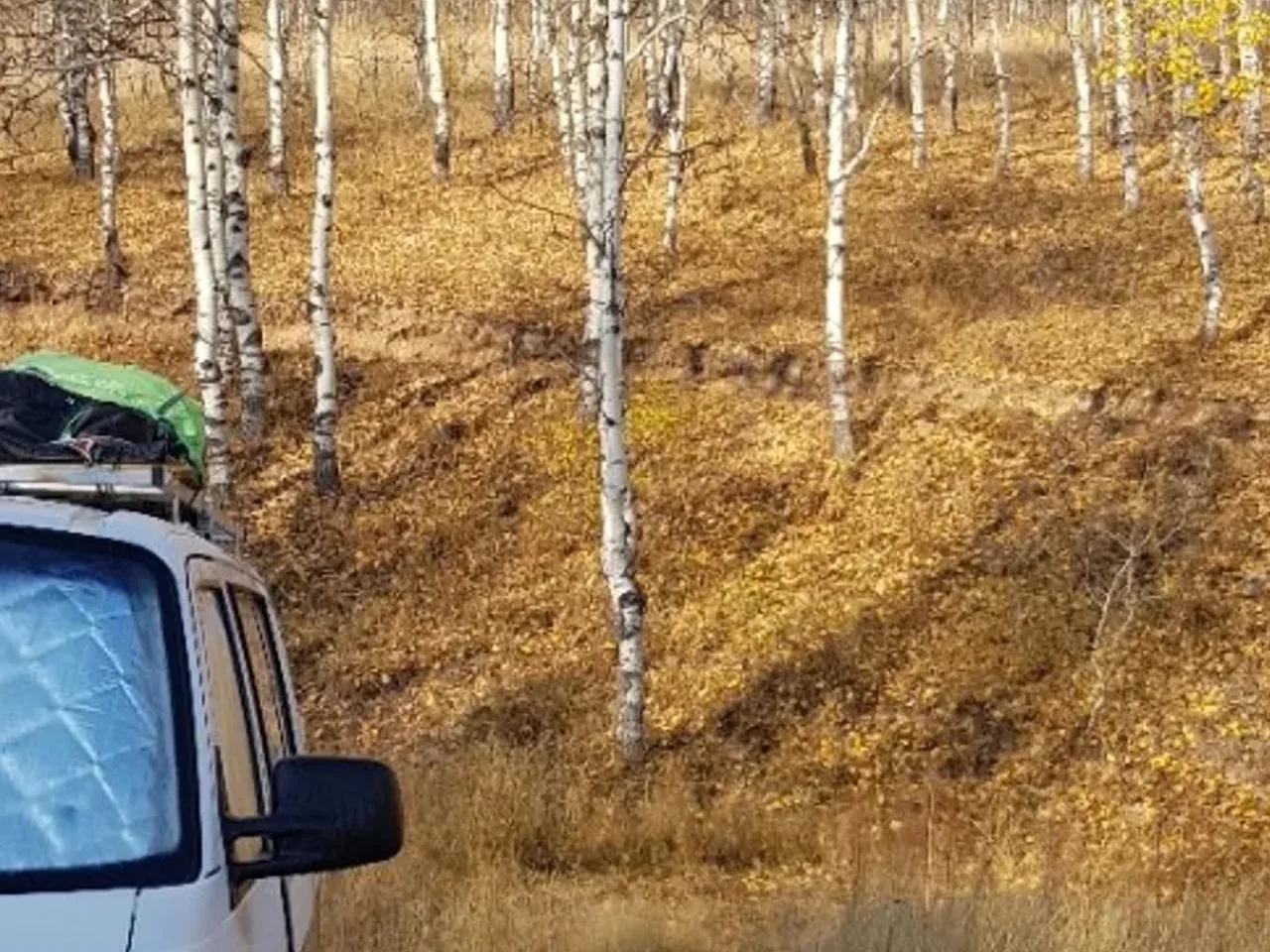 Erzurum Pazaryolu Yolu - 1