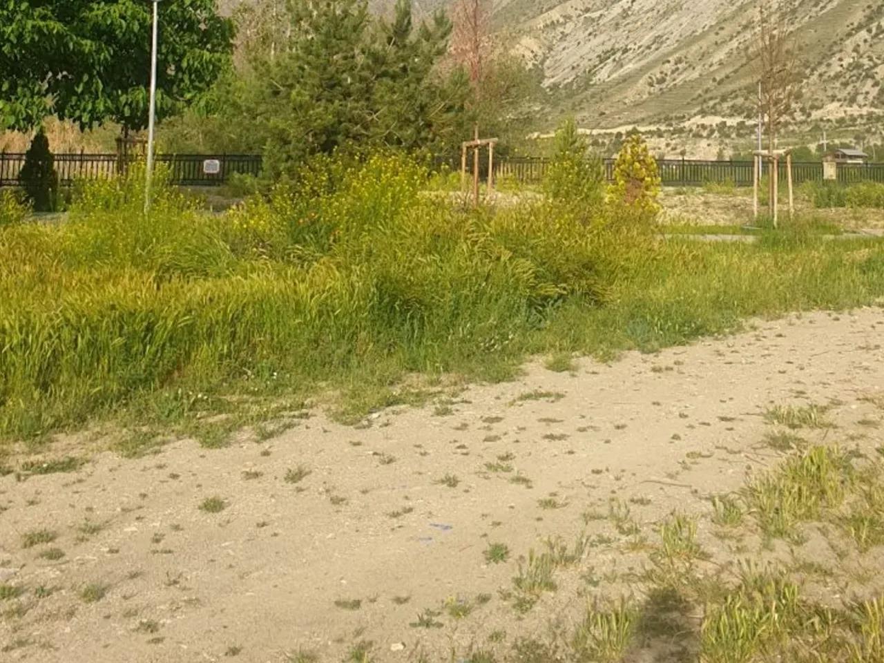 Erzurum - 1