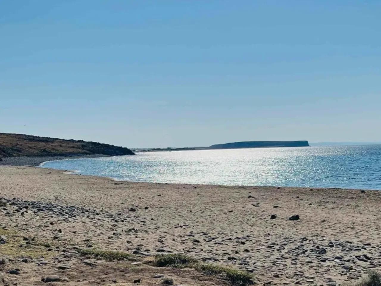 Eşelek - 2