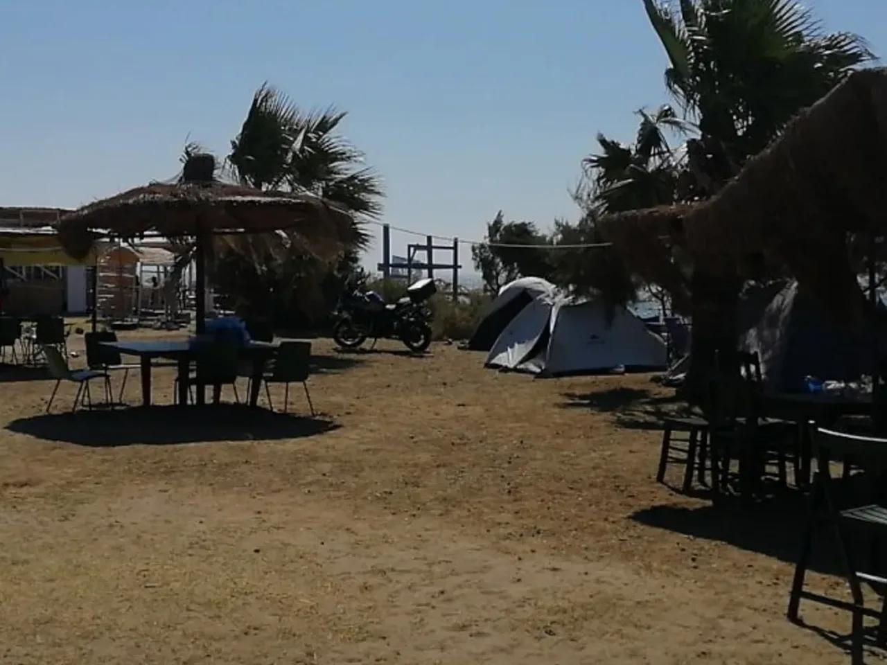 Eşelek - 1