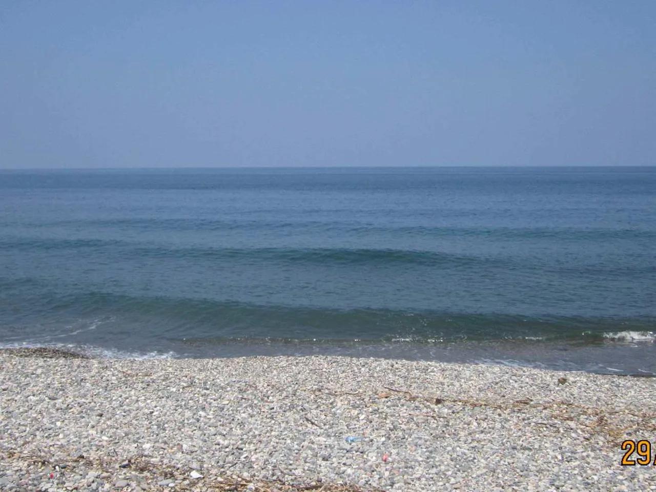 Eski Şantiye Önü - 5