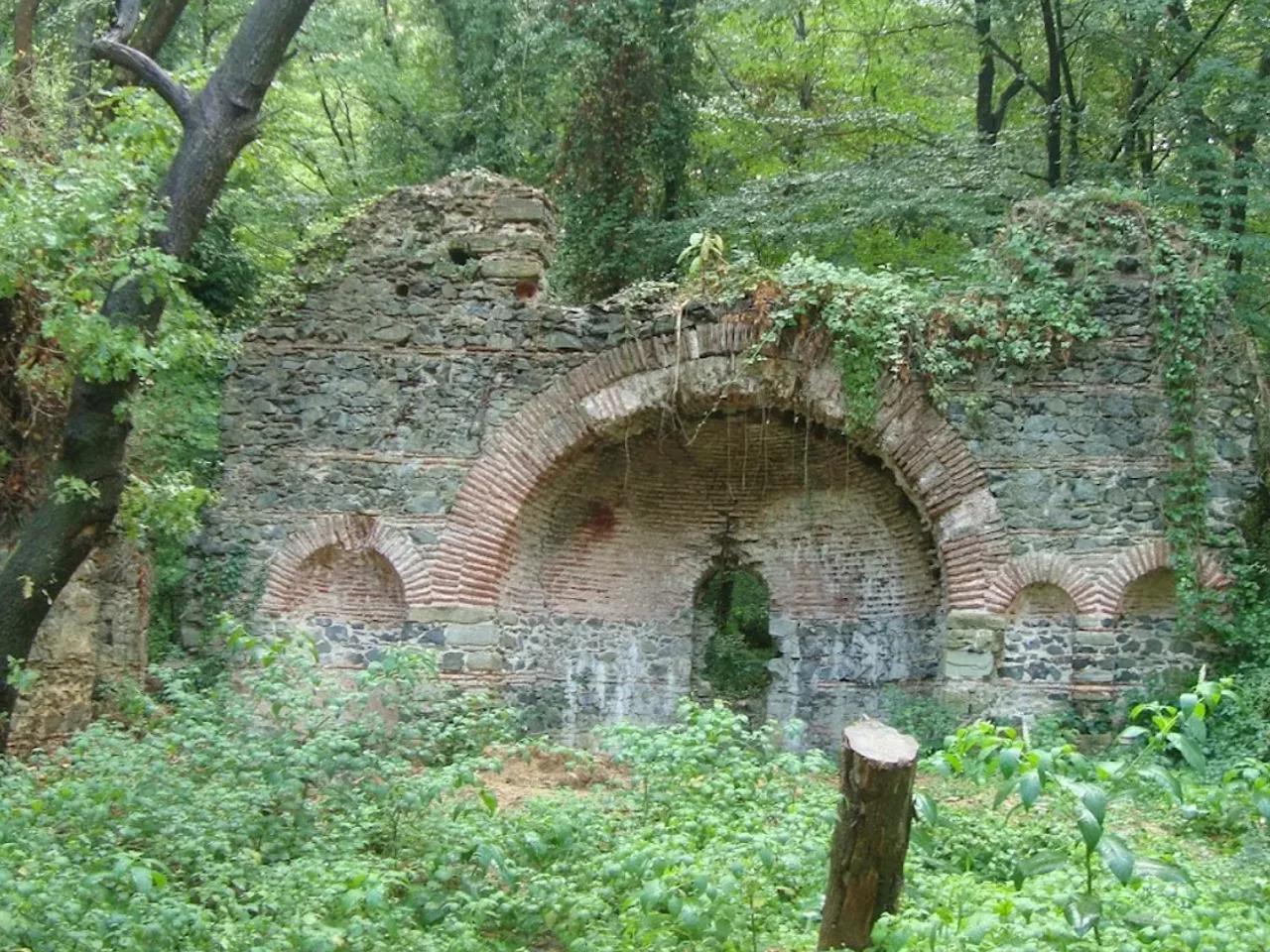 Falih Rıfkı Atay Tabiat Parkı