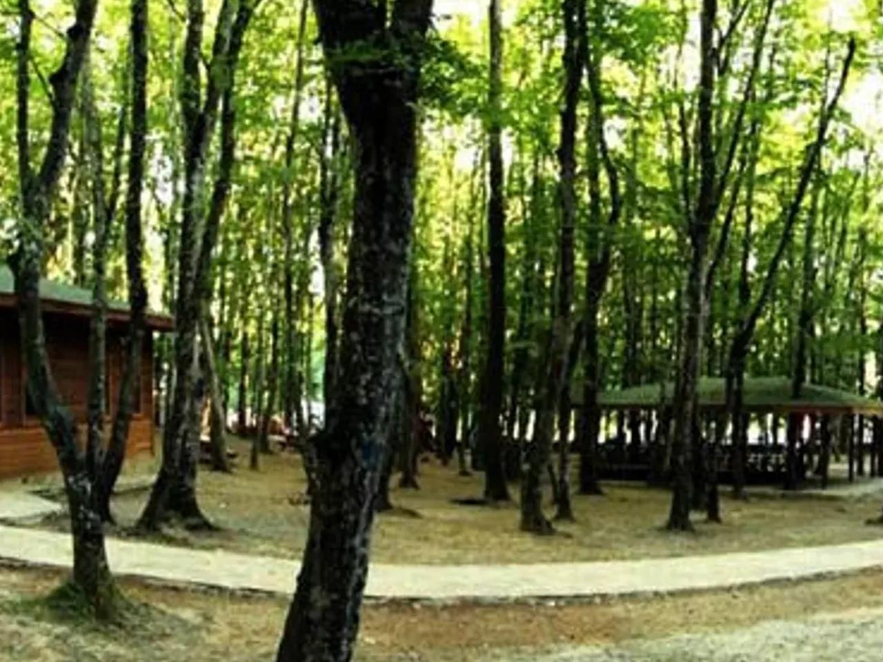 Fatih Çeşmesi Tabiat Parkı