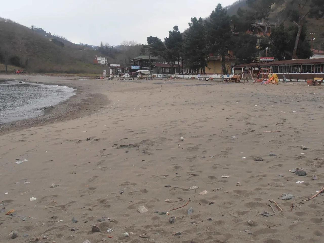 Fatsa Çeşmicihan Kumsalı - 3