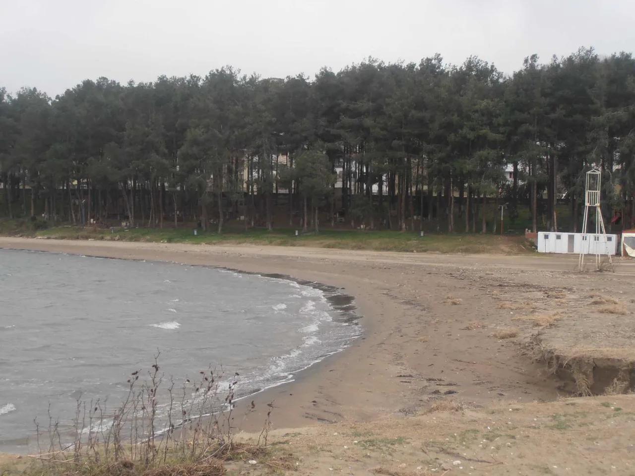 Fatsa Dolunay Çamlık Plajı - 2
