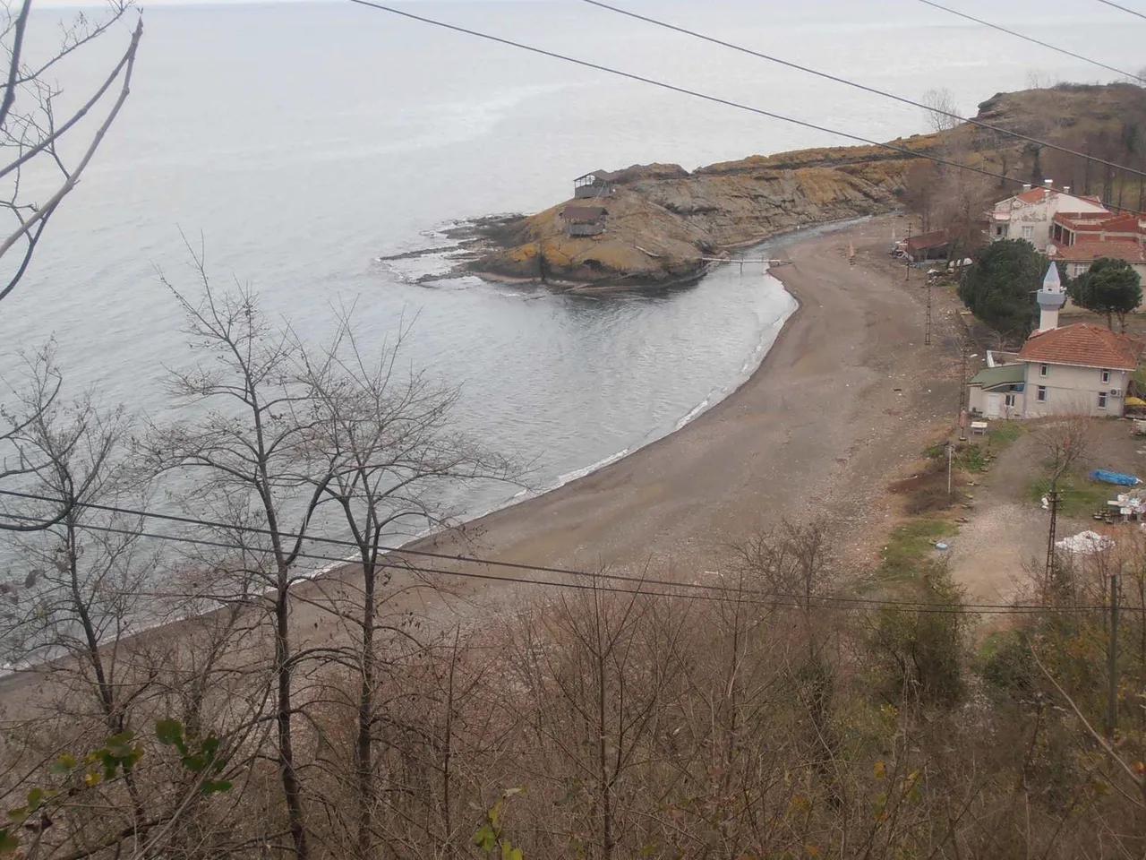 Fatsa Yalıköy Belice Kumsalı - 2