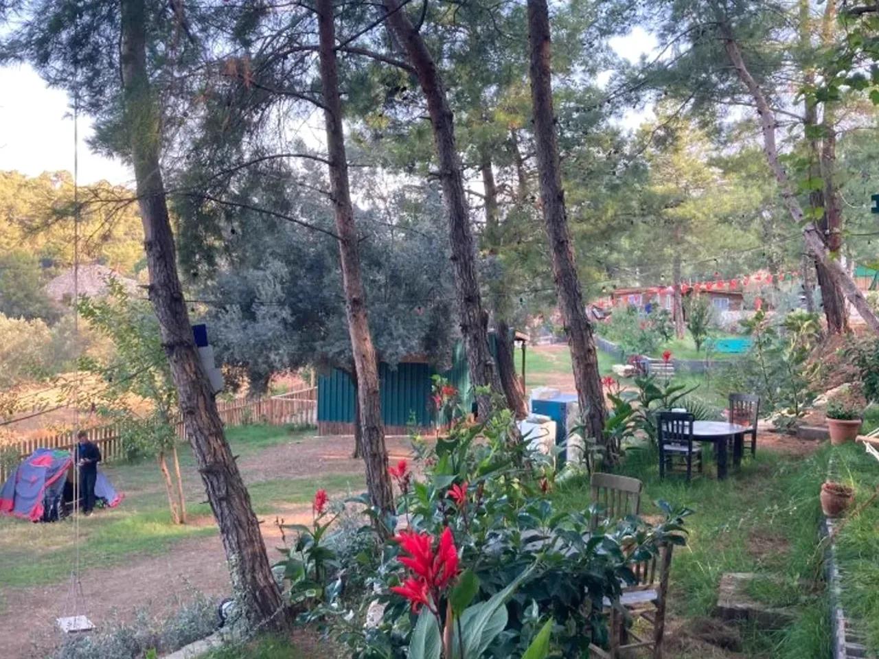 Fethiye,13 Aşağı Yaşdam Caddesi - 1