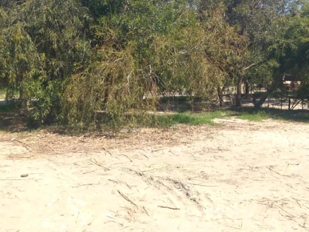 Fethiye/Muğla - 1