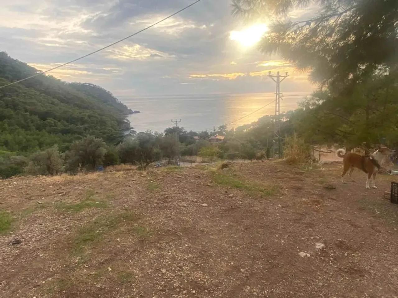 Fethiye,Uzunyurt - 1