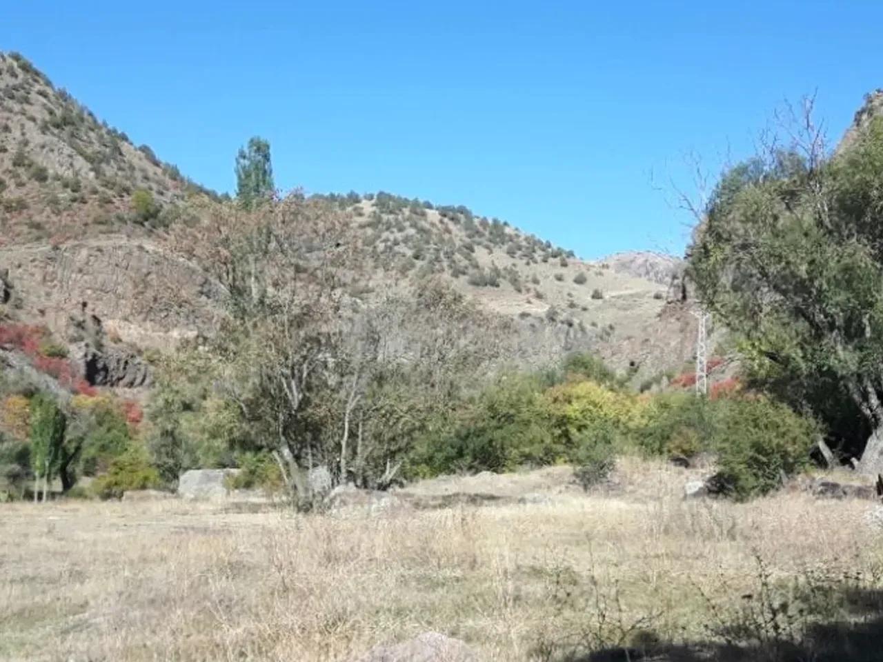 Filizli Yaylası - 2