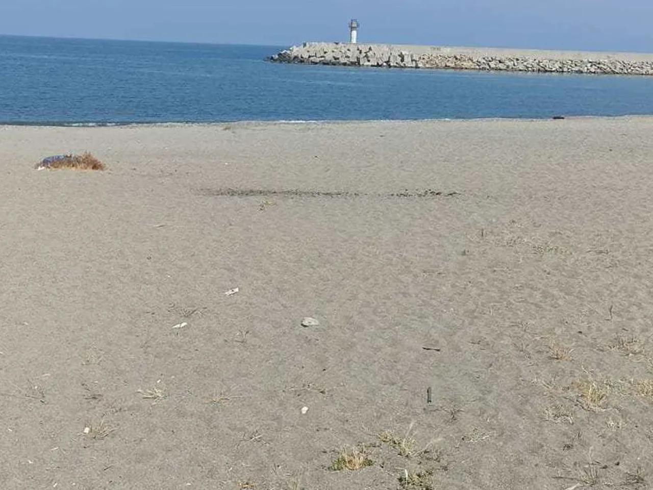 Filyos Barınak Yanı Plajı - 3