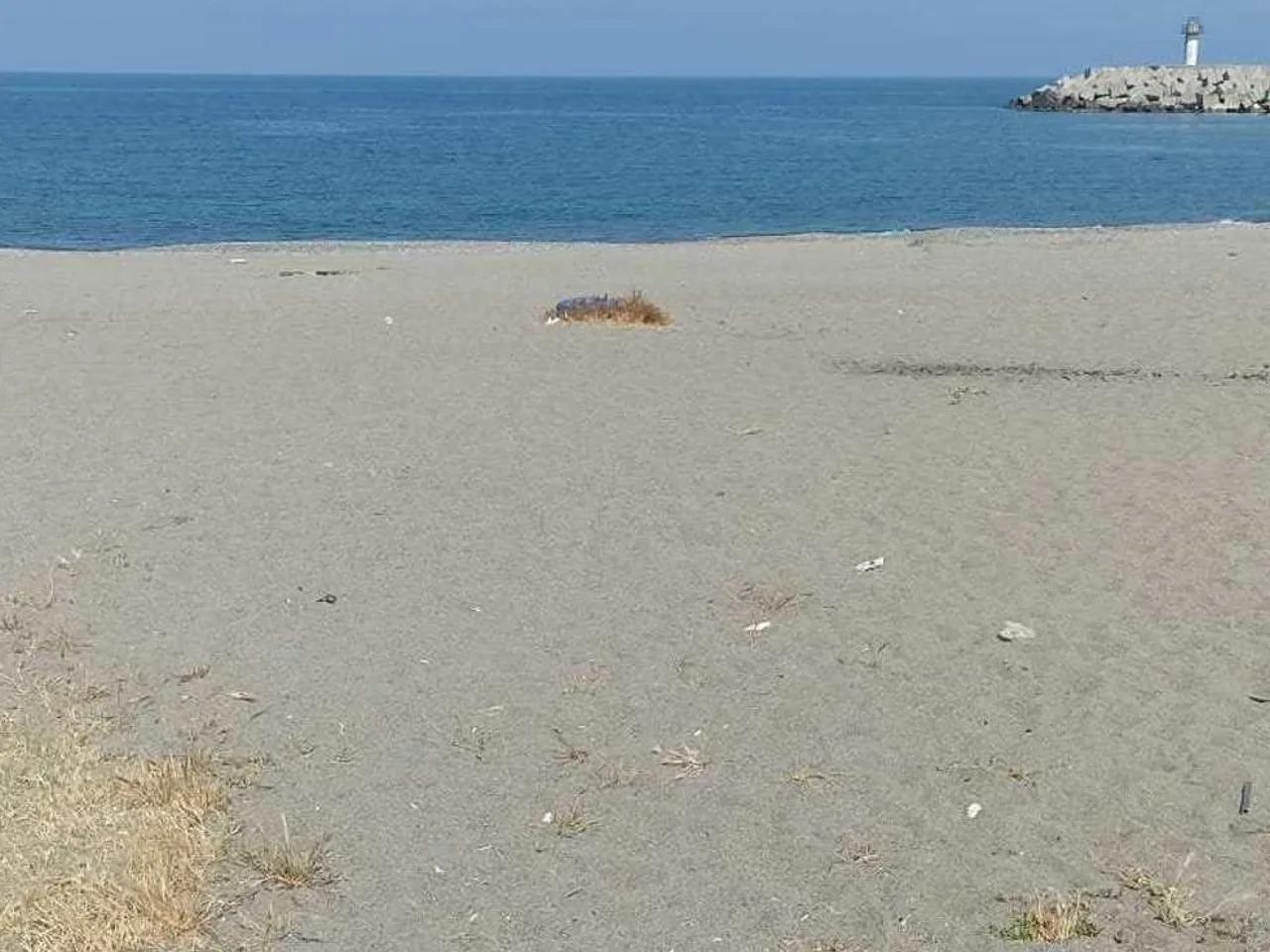 Filyos Barınak Yanı Plajı - 4