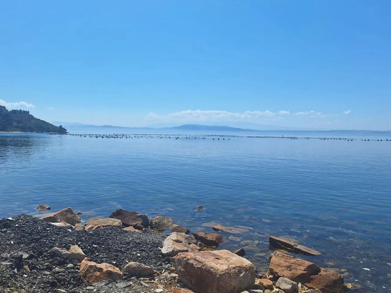 Fıstıklı Kavacık Mevkii - 2