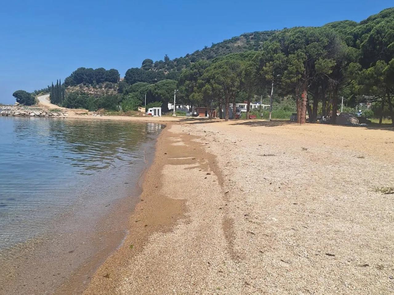 Fıstıklı Kavacık Mevkii - 4
