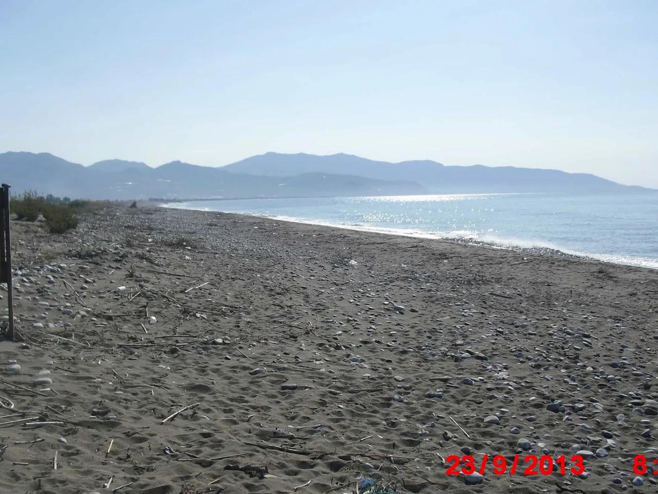 Fuar Alanı Önü - 4