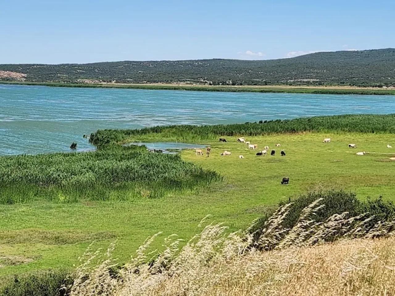 Gala Gölü Milli Parkı - 2