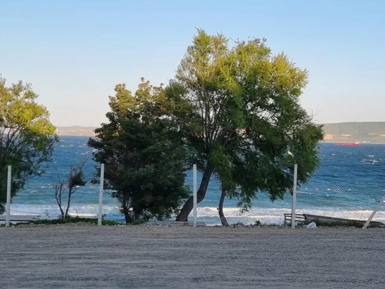 Gelibolu,155 Beyazevler Sokak - 1