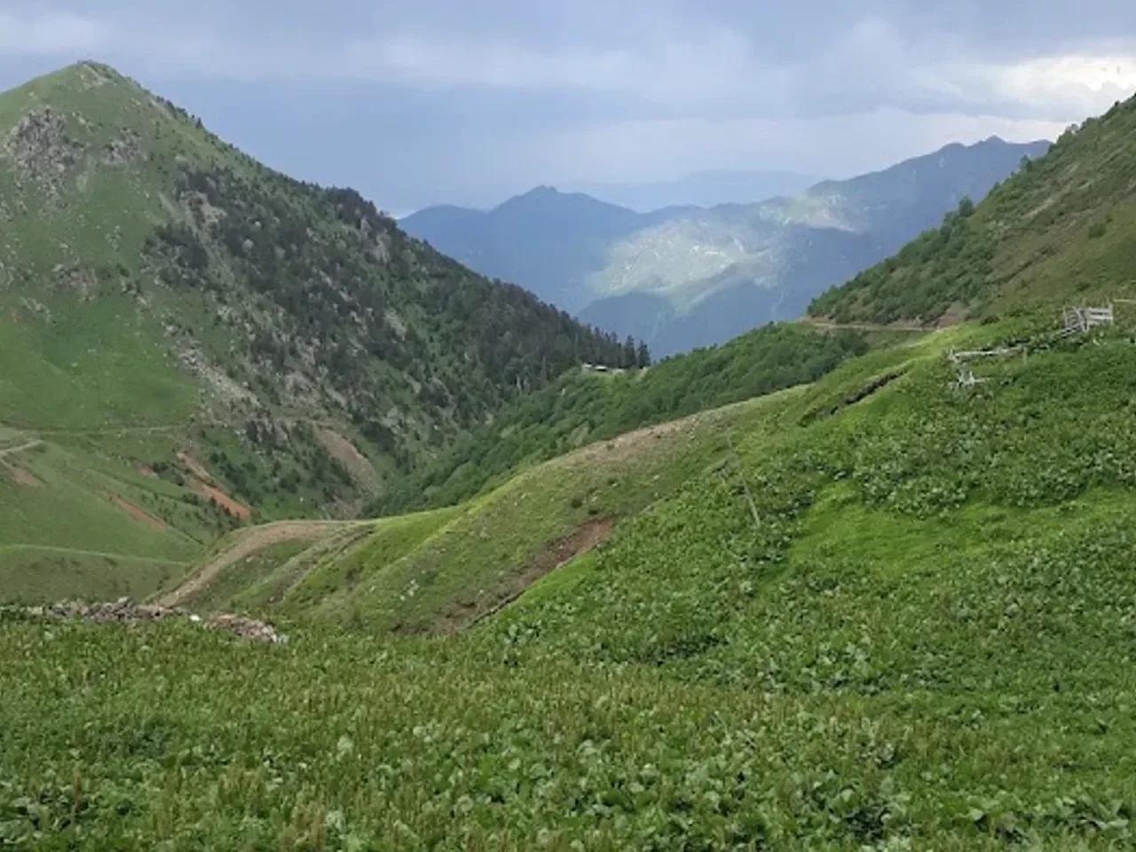 Geliçivar Yaylası