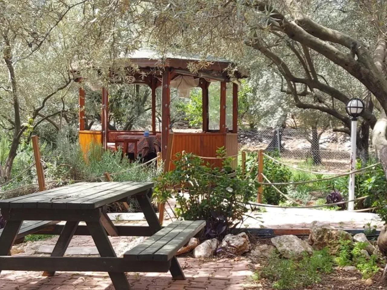 Geyikbayırı,Geyikbayırı Koyo Yolu - 1