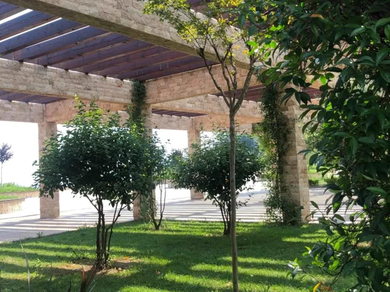 Giresun Merkez,61 Sümbüllük Sokak - 2