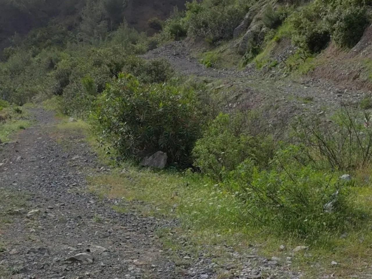 Gökbekirli, - 1