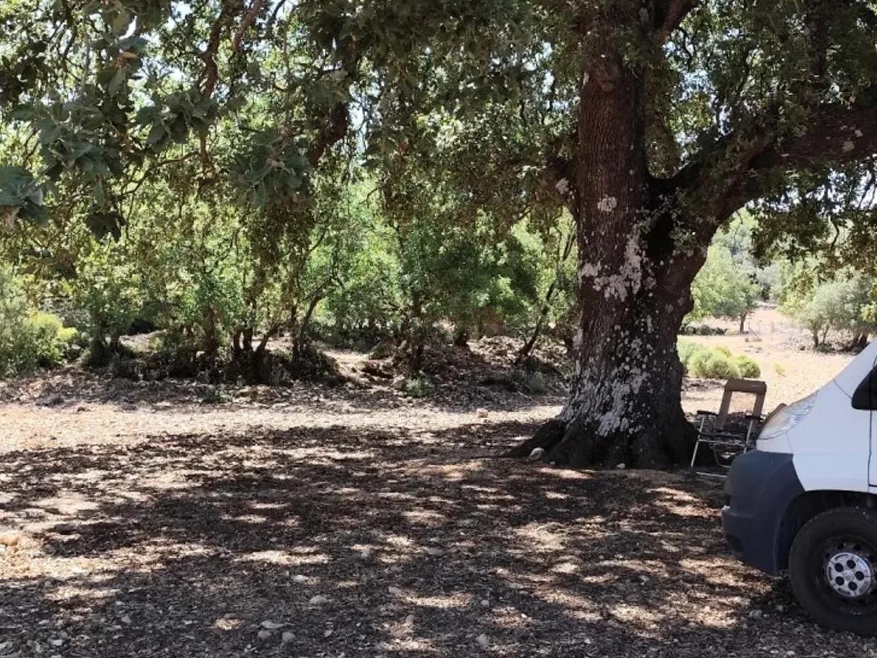 Gökçeyazı, - 2