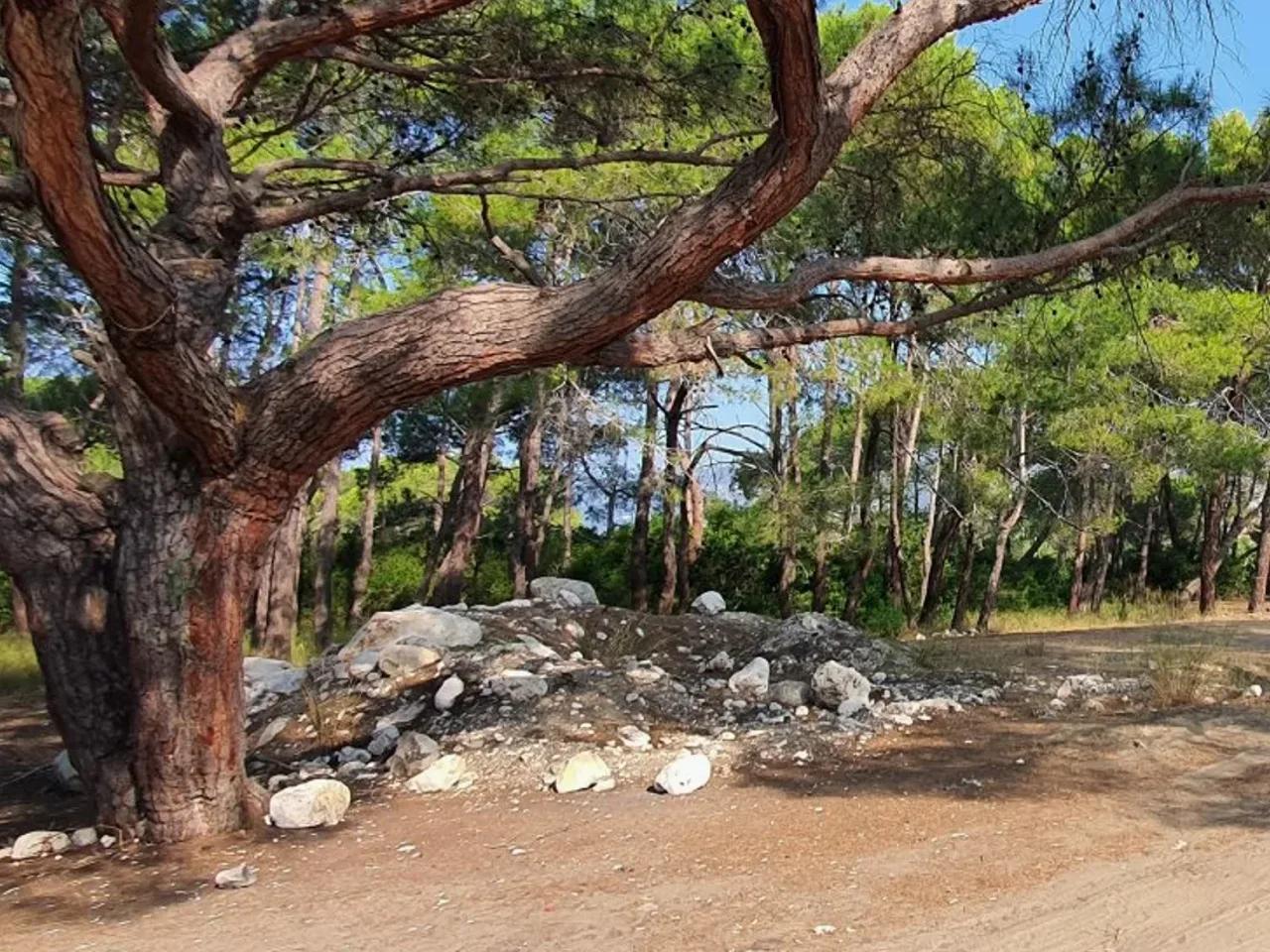 Gökyazı,Çayağzı Yolu - 1