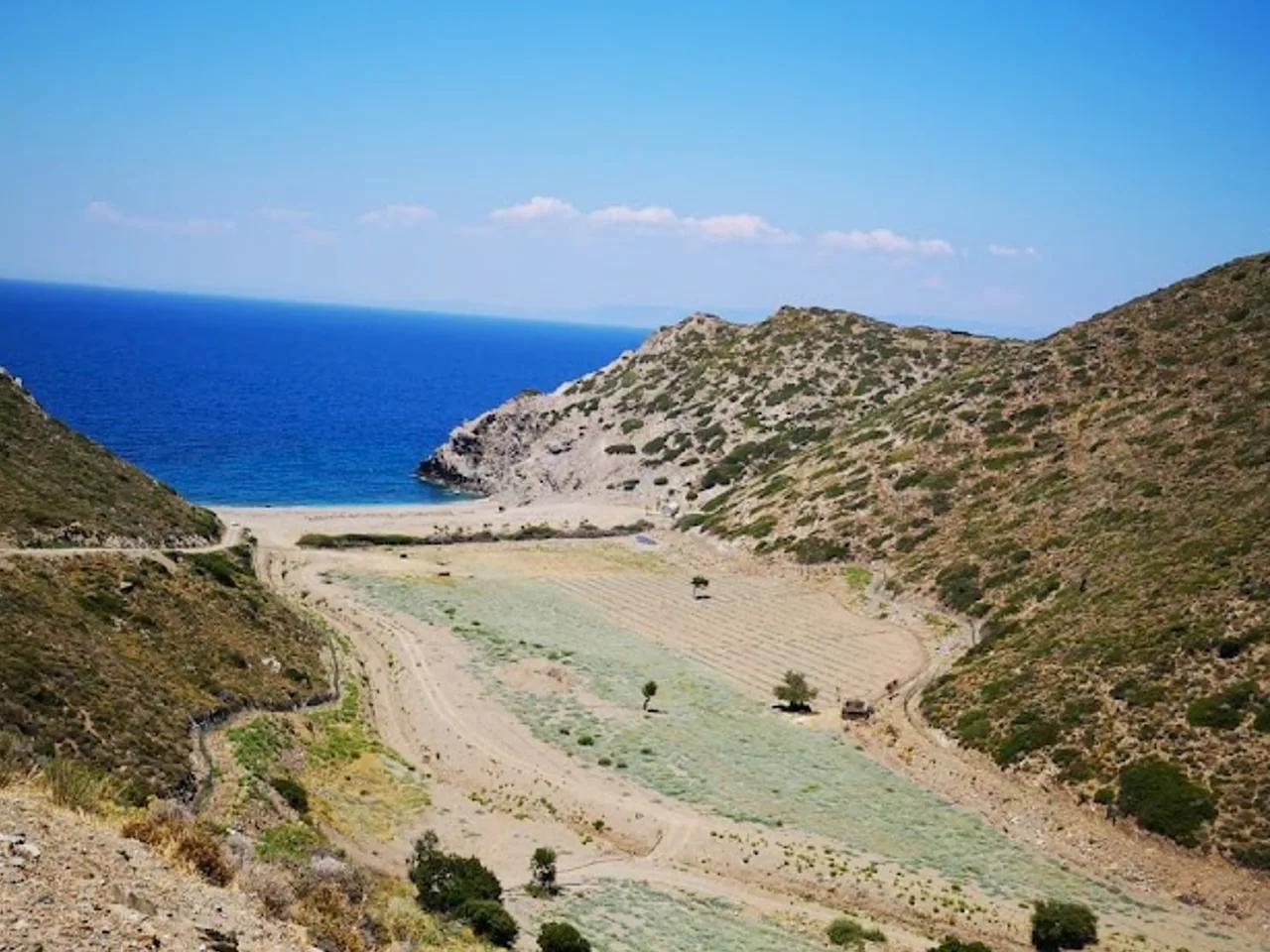Gönsüz Koyu - 1