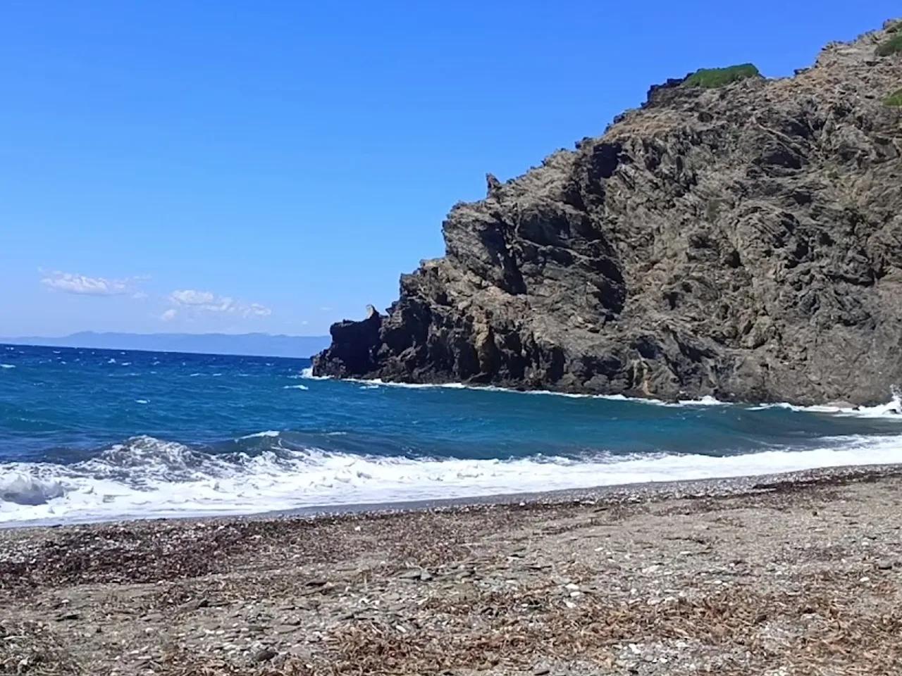 Gönsüz Koyu - 2