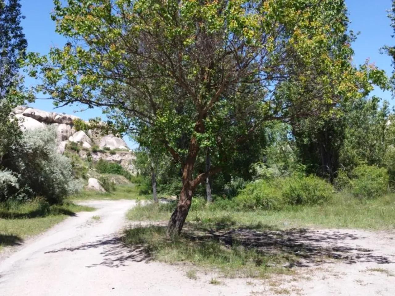 Göreme,Zelve Vadisi yolu - 2